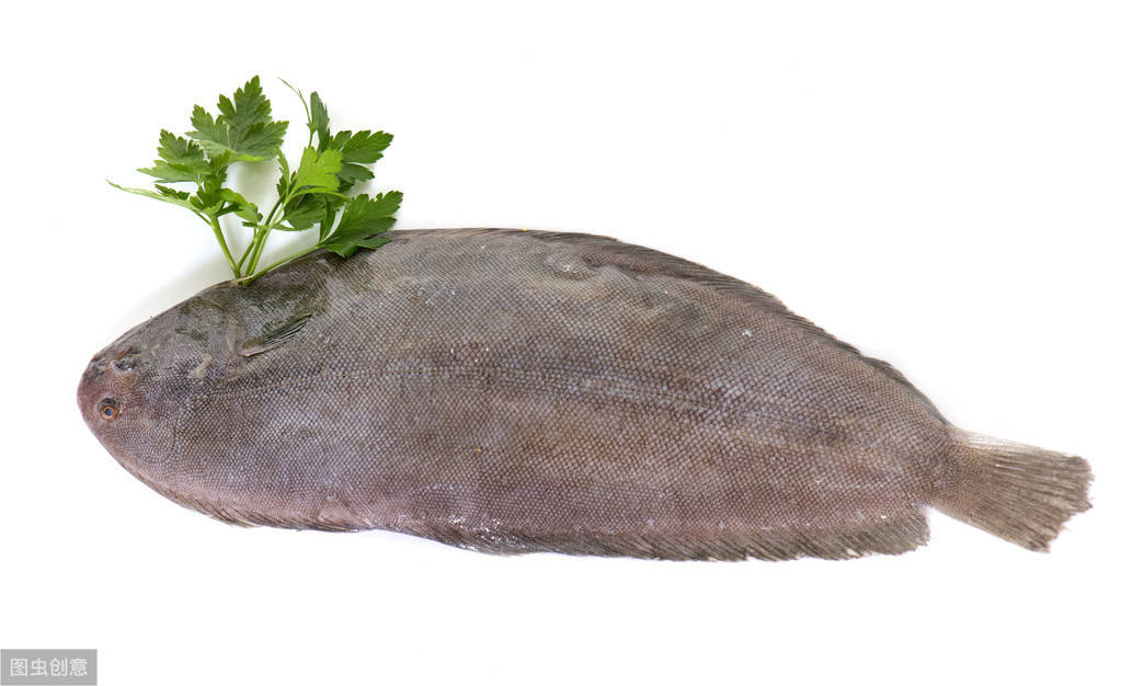 你知道有哪些常吃的海鱼吗?带你认识7种常见的海鱼,每