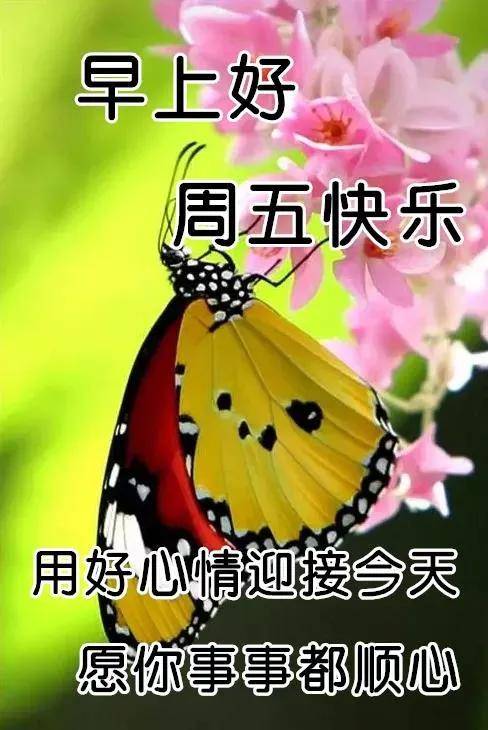 清晨早上好问候祝福动态表情图片祝福图片