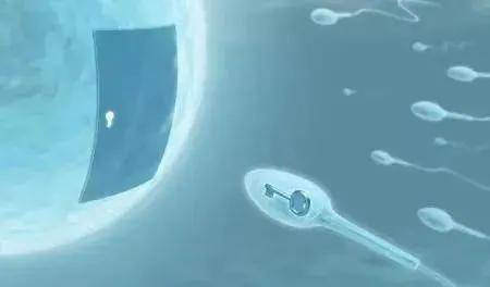 畸形精子影响生育吗会导致胎儿畸形吗