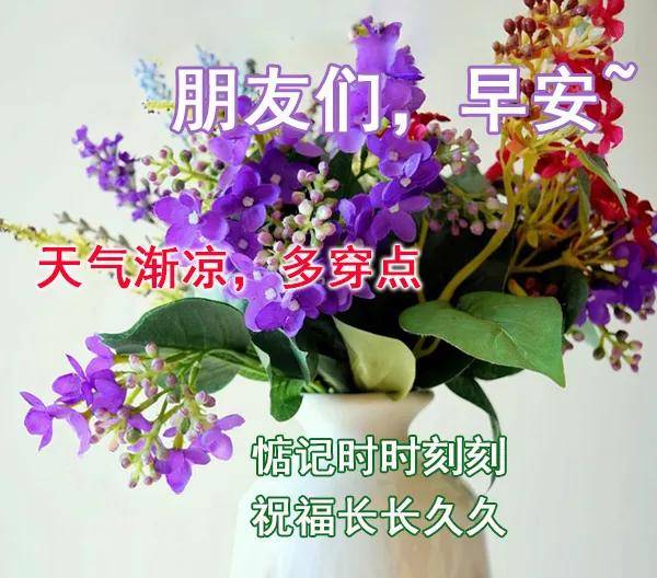 最新朋友圈早安问候语 美好的一天早安句子_祝福