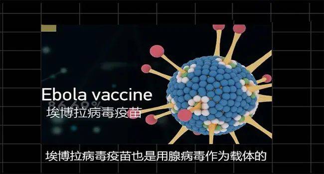 医疗文献app:国产新冠疫苗又上新了!揭秘重组腺病毒载体疫苗!