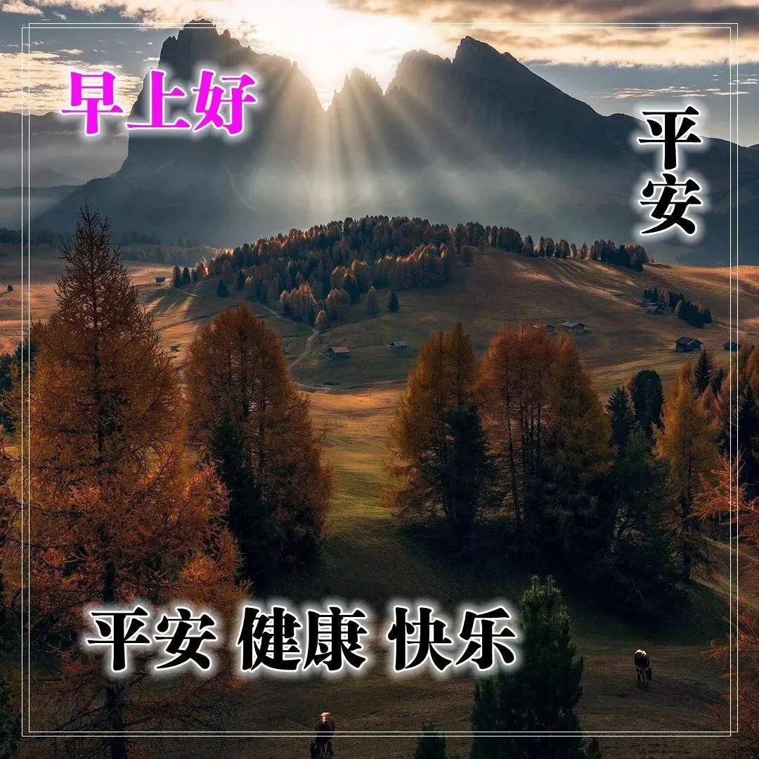 早上好问候语图片,新的一天早上好祝福图片表情带鲜花