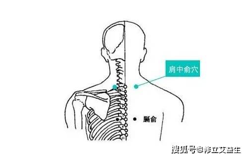 颈椎疼痛克星是什么?救星艾灸来帮你!