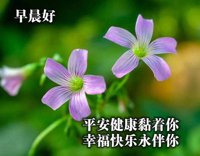 2021正月廿八早安暖心祝福大全,祝你春风得意,幸福安康