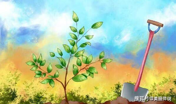 原创关于植树节的名言名句 植树节的名言警句汇总