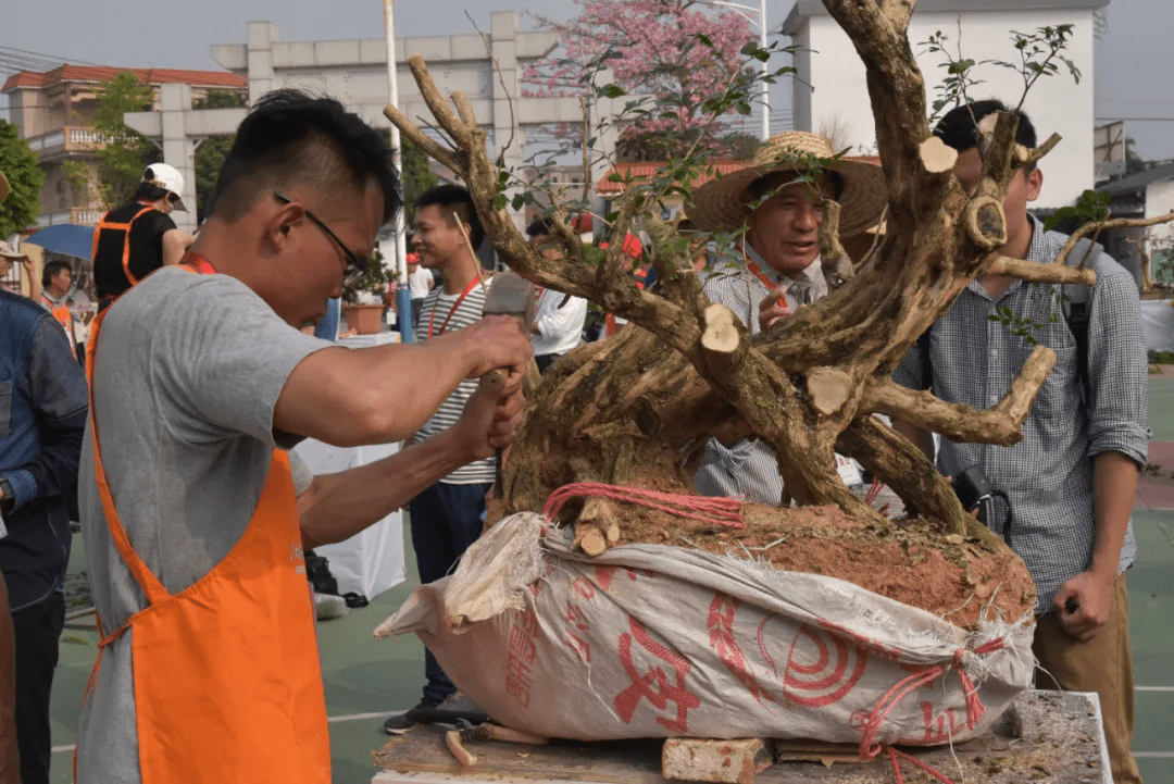 技工"工程融入花都区赤坭镇打造"岭南盆景特色小镇"实践,先后在竹洞村