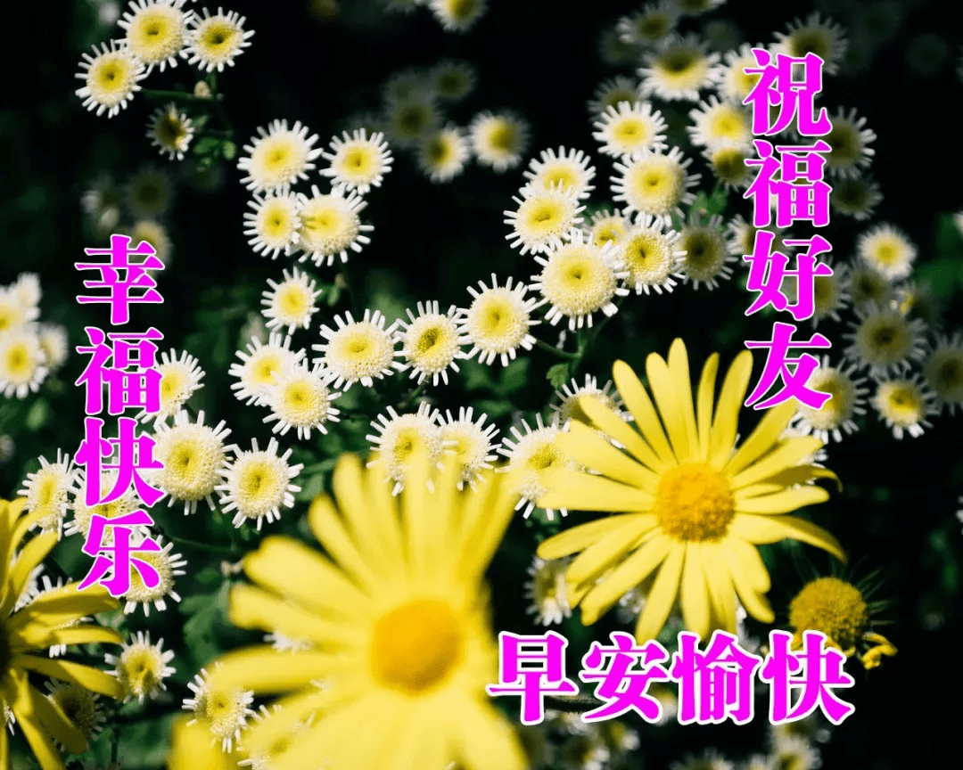 最新早安微信问候祝福语图片 给朋友最温暖的祝福语