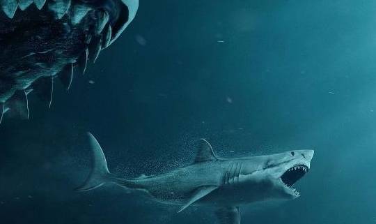 世界上最大的巨齿鲨有多大,巨齿鲨的战斗力到底有多恐怖!