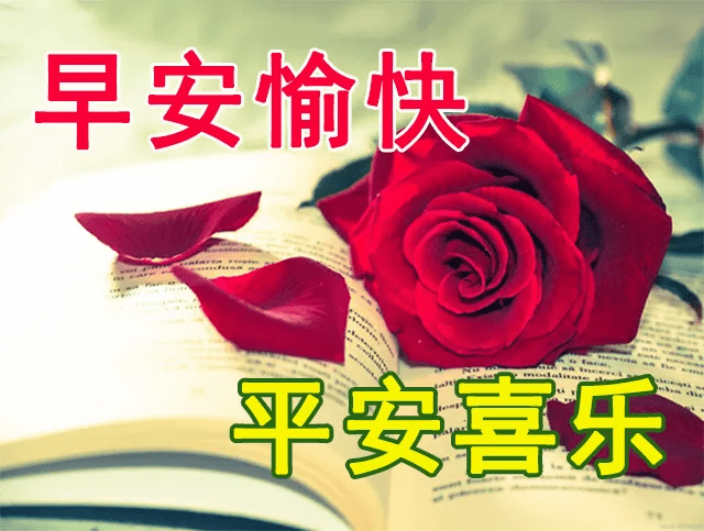 原创超级漂亮早上好动态唯美问候图片最美早上好温馨祝福语句