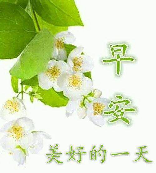 最新漂亮早上好祝福语表情图片带字 夏天早上好心情祝福语大全