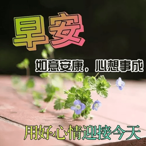 原创早安心语早上好问候动态表情图片夏季早安带字图片带祝福语