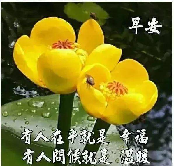 原创暖心早晨好问候动态图片最美早安问候语短信集锦