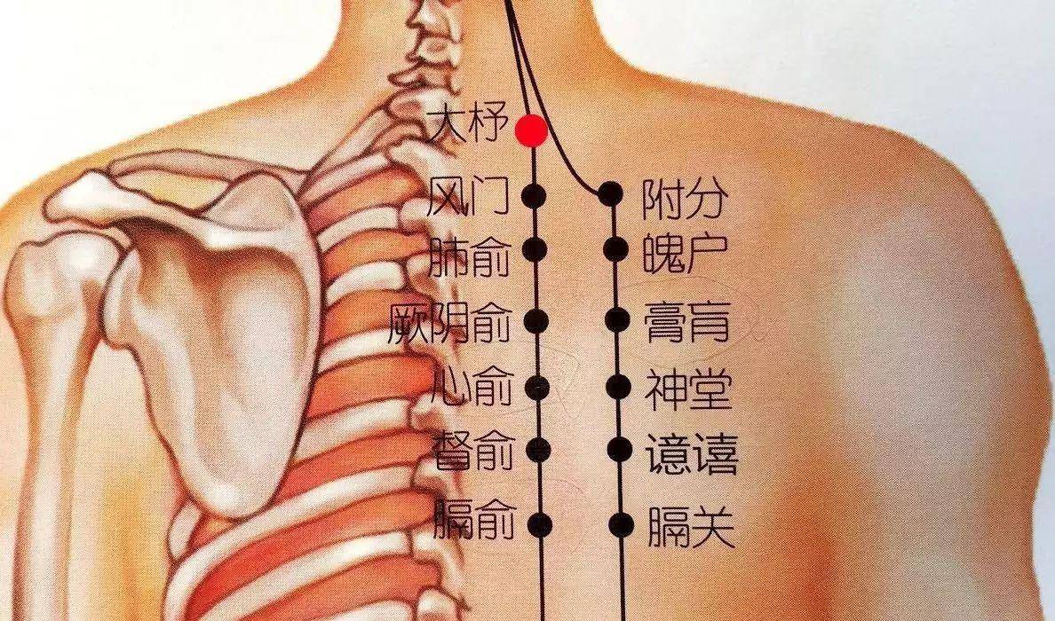 感到背部异常疼痛的部位,有可能是腰椎间盘突出症所致.