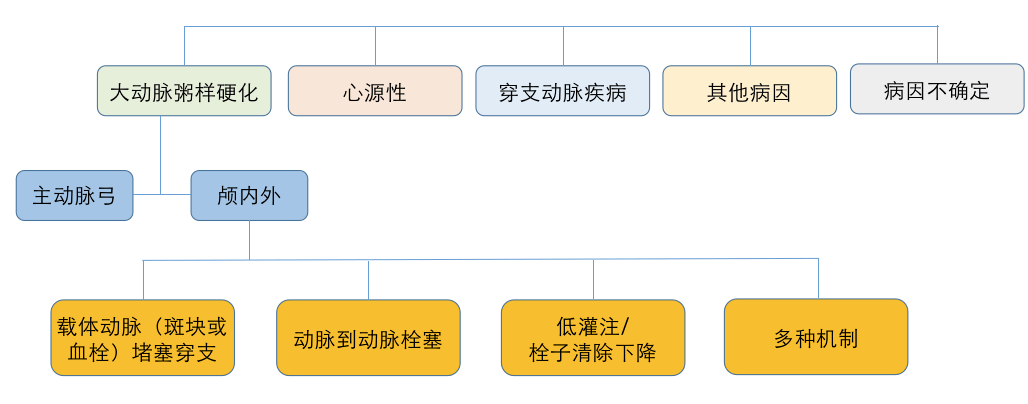 脑梗死如何分型?别说只有toast