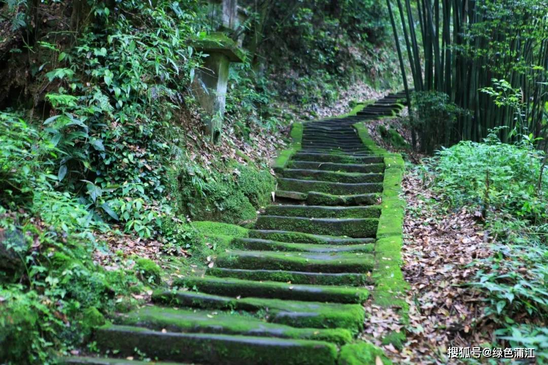 长亭外,古道边,芳草碧连天