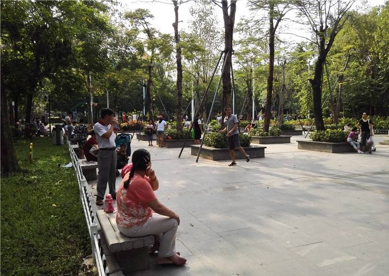 深圳龙华公园:附近居民最喜欢到这里闲坐