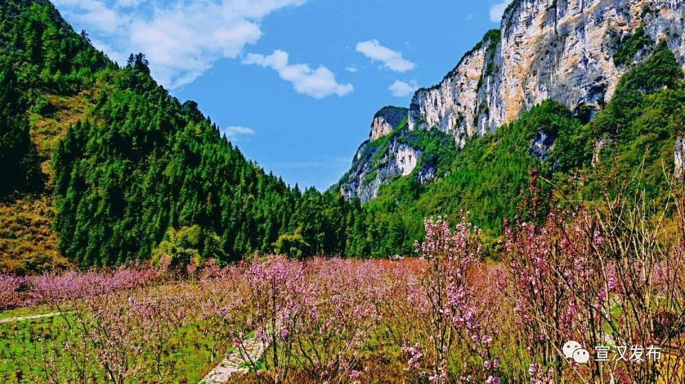 中国宣汉:春风十里,三月花海艳巴山