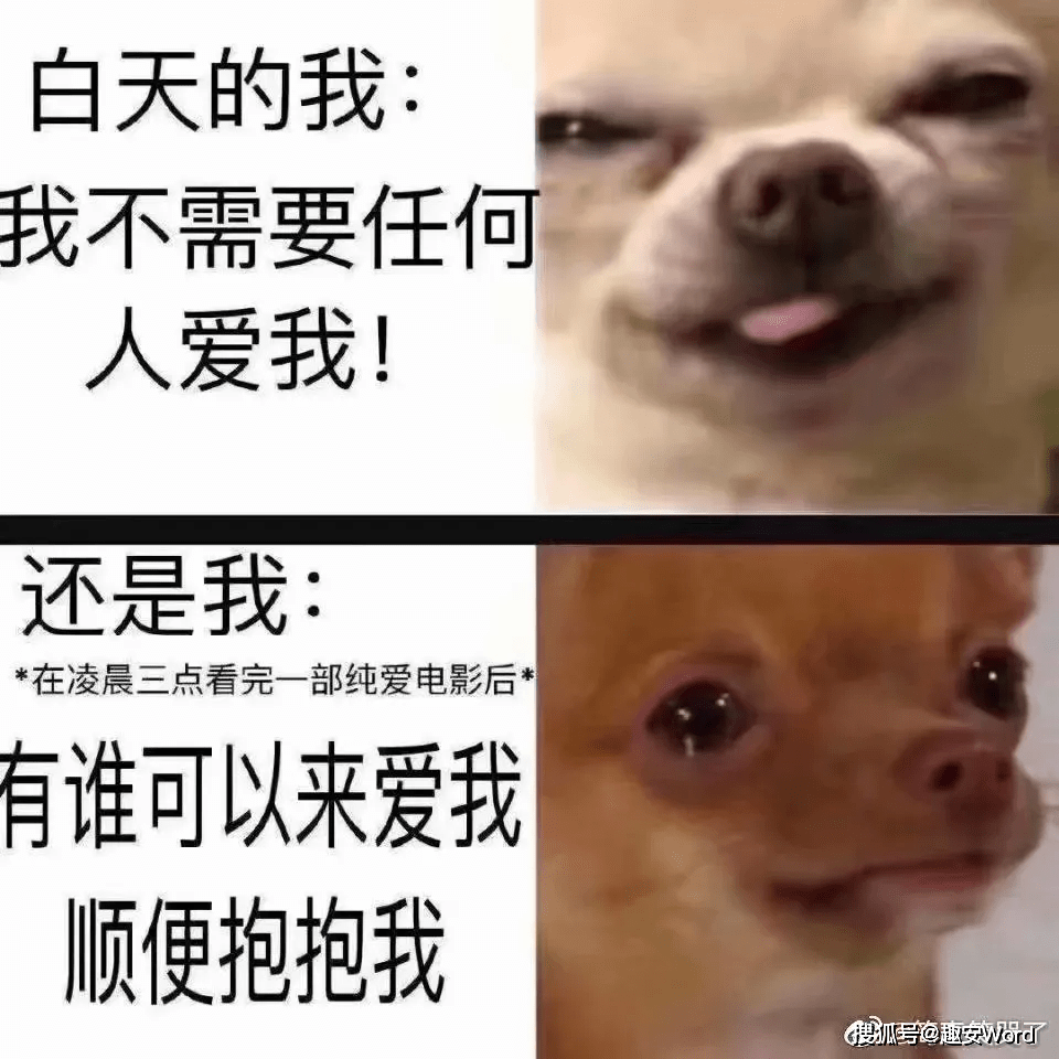 一些让你看了直呼真实的梗图_素材