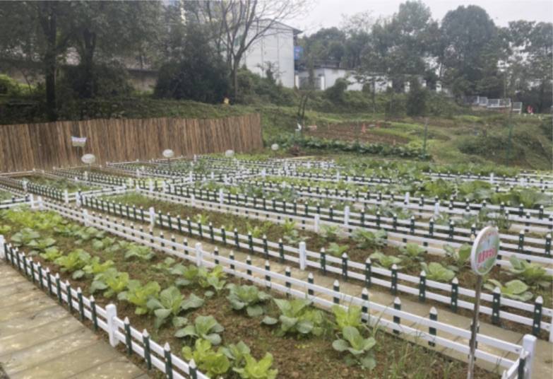 矿山坡小学校劳动教育基地建设地点