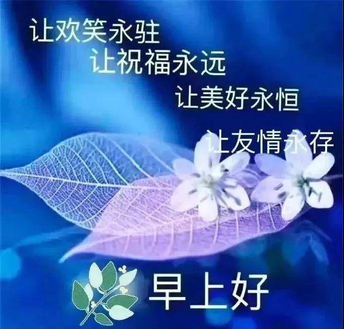6张最有创意免打字聊天早上好动态图片 唯美春天早安动画表情图片精选