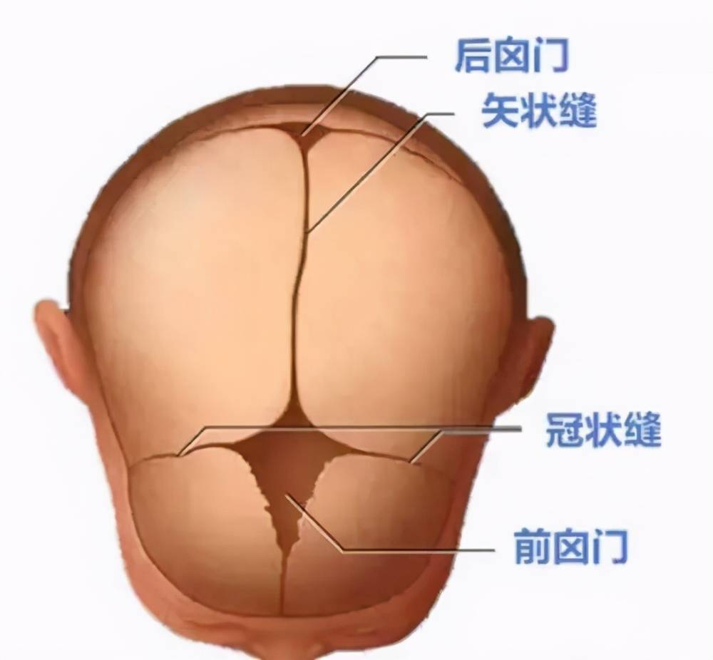 孩子脑袋大,就是脑积水吗?_小儿