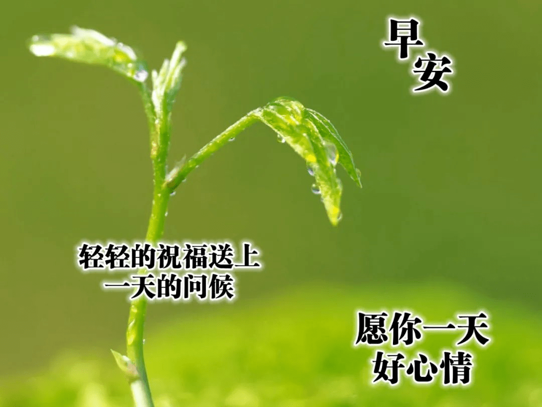 原创早上好!新的一天,祝你事事顺心如意,愿你开心快乐