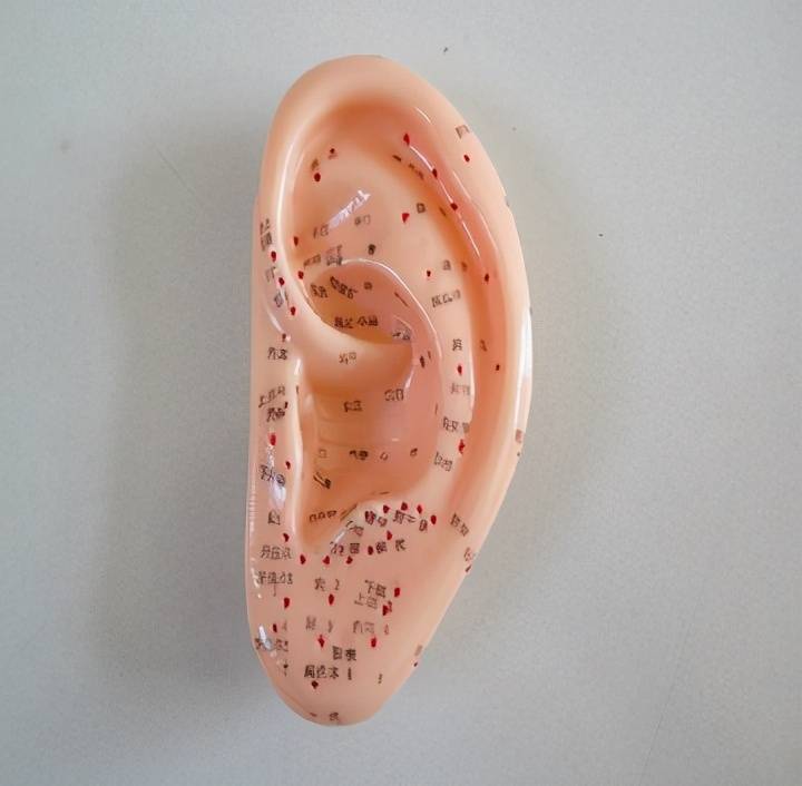 原创耳朵是身体的保健图每天揉一揉养肾润五脏消除疾病