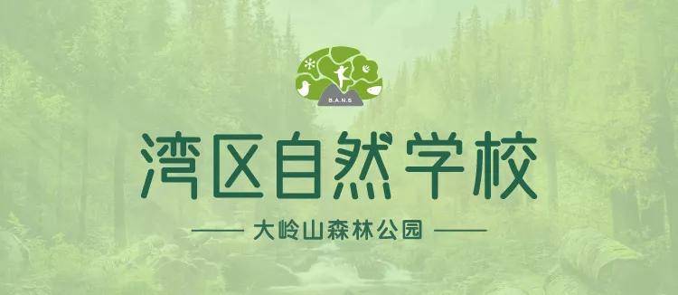 大玩家旅行东莞溜娃宝藏地开放了湾区自然学校丛林项目启用啦