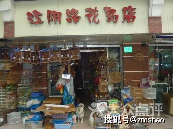 上海江阴路花鸟市场老照片