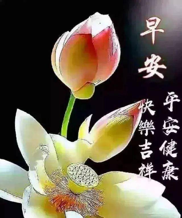 温馨早上好清晨第一声问候送给你,祝你天天好心情!