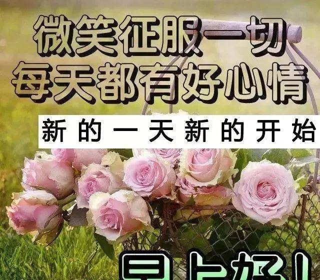 原创初夏非常漂亮早上好问候语图片温暖早安祝福语美图表情