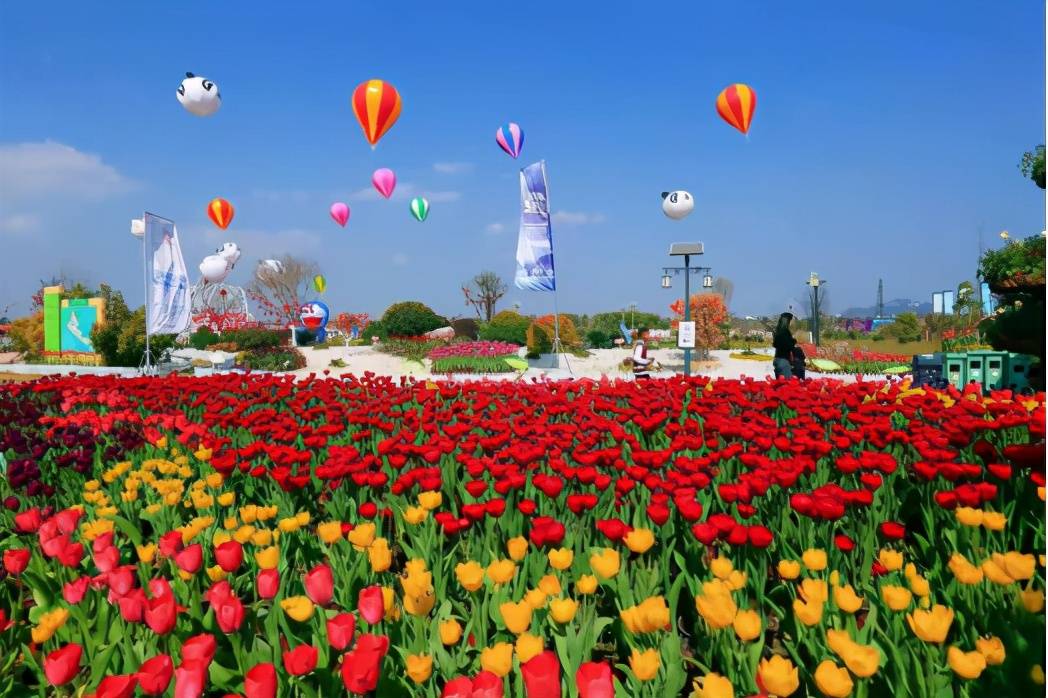 春暖赏花季 激活春节旅游消费_花海