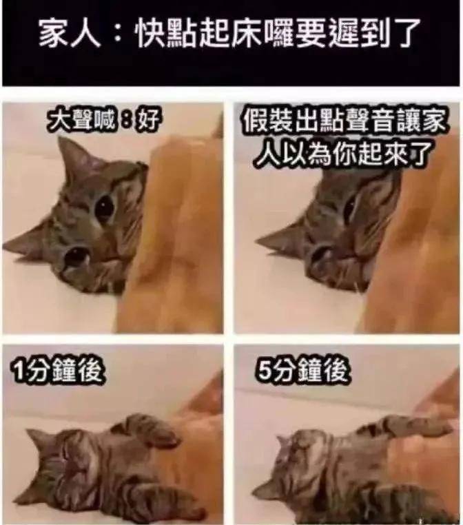 搞笑图片集:确实是人间真实