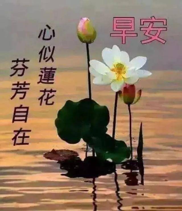 原创微信群聊天最新版的早上好问候祝福语清晨早上好暖心祝福语分享