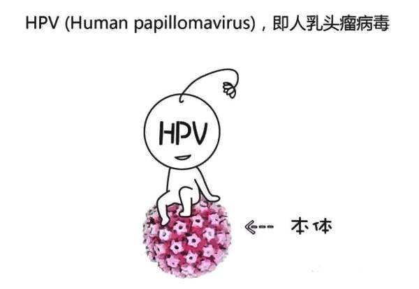 hpv来临前身体会发出这3个信号