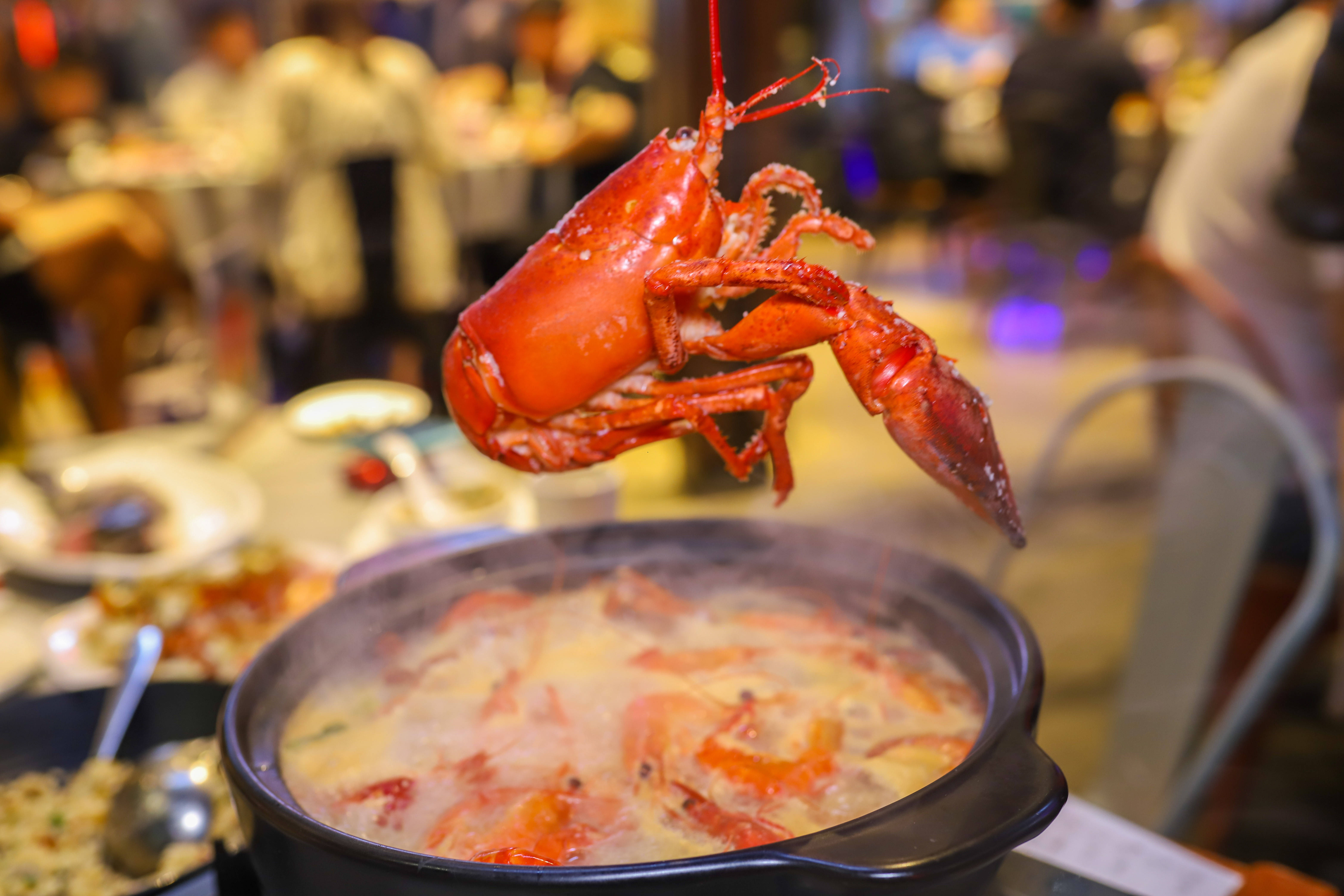 原创三亚春日探店觅食指南,不可错过的海南味道,糟柏醋海鲜火锅