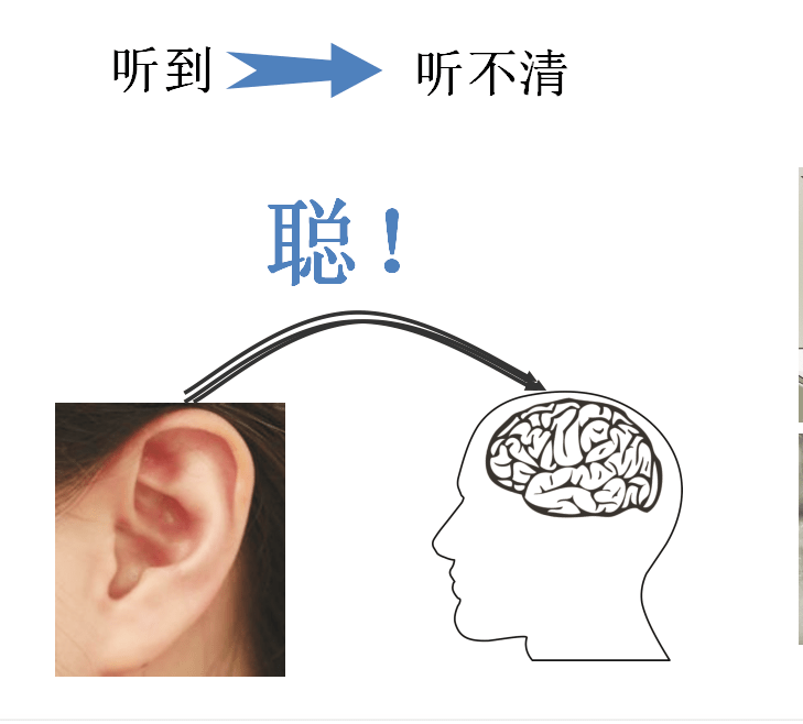 芜湖黄山中路惠耳听力——耳朵老了,大脑也老了