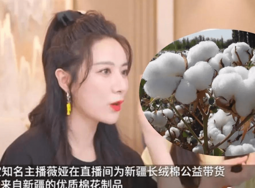 薇娅直播带货1小时,卖出2000多万元新疆棉制品,说明了什么