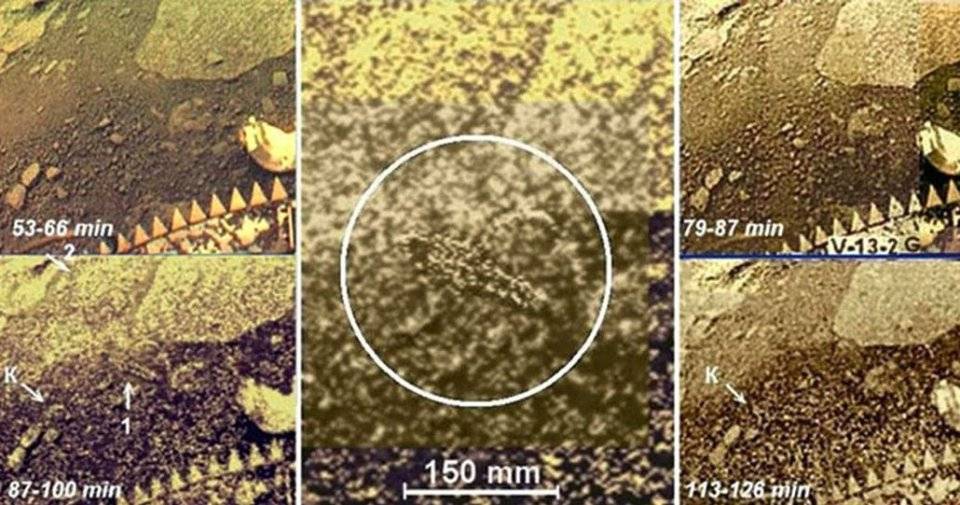 金星可能存在生命?探测器照片发现许多物体,跟生物十分接近