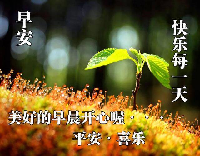 早上好问候图片句子,愿你心里处处都是阳光