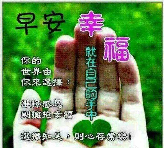 漂亮好看的早上好问候美图带字,早晨好幸福暖心的问候