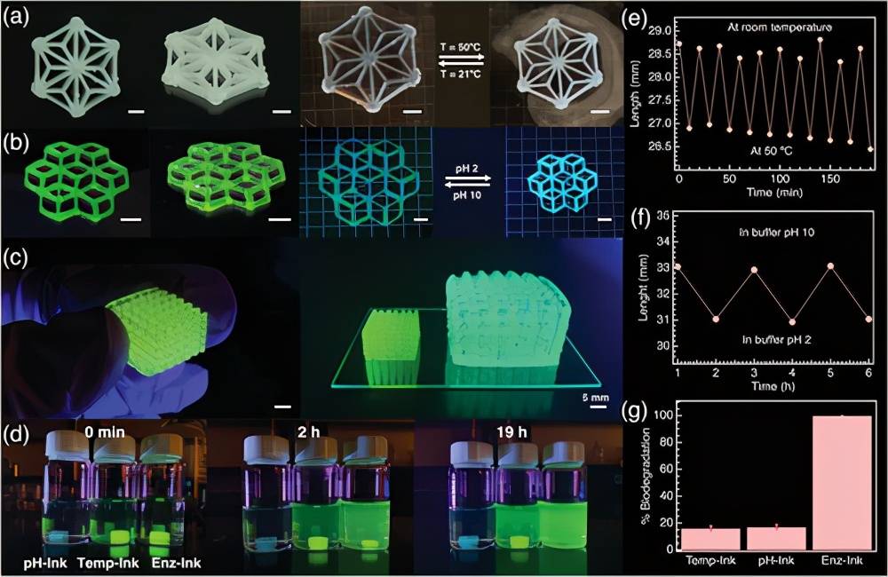 原创华盛顿大学4d打印多刺激响应蛋白水凝胶可自主形状转换