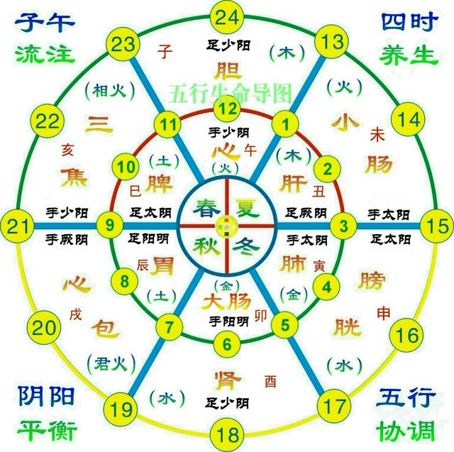 029倪海厦人纪系列黄帝内经篇