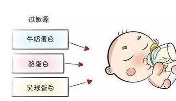 乳糖不耐受与牛奶蛋白过敏,还傻傻的分不清?看完这篇就懂了