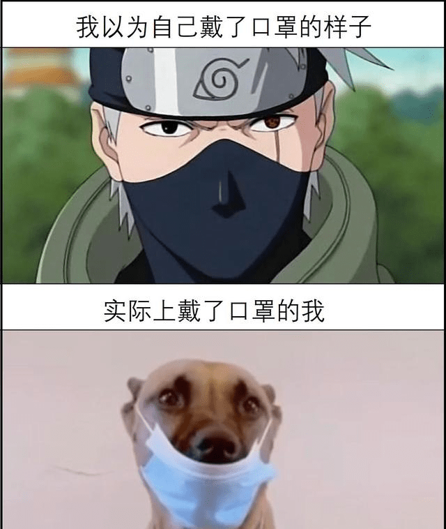 实际上戴口罩的样子 04,总会有人头落地的一天