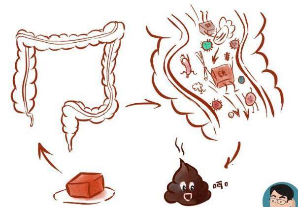 排便若有3种异常,或是肠道发出的警告,警惕癌症已找上门_大便