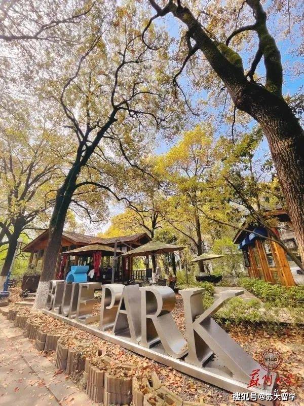2021 spring 今年早春 降雨更甚以往 气温高低不定 便是这般变幻莫测