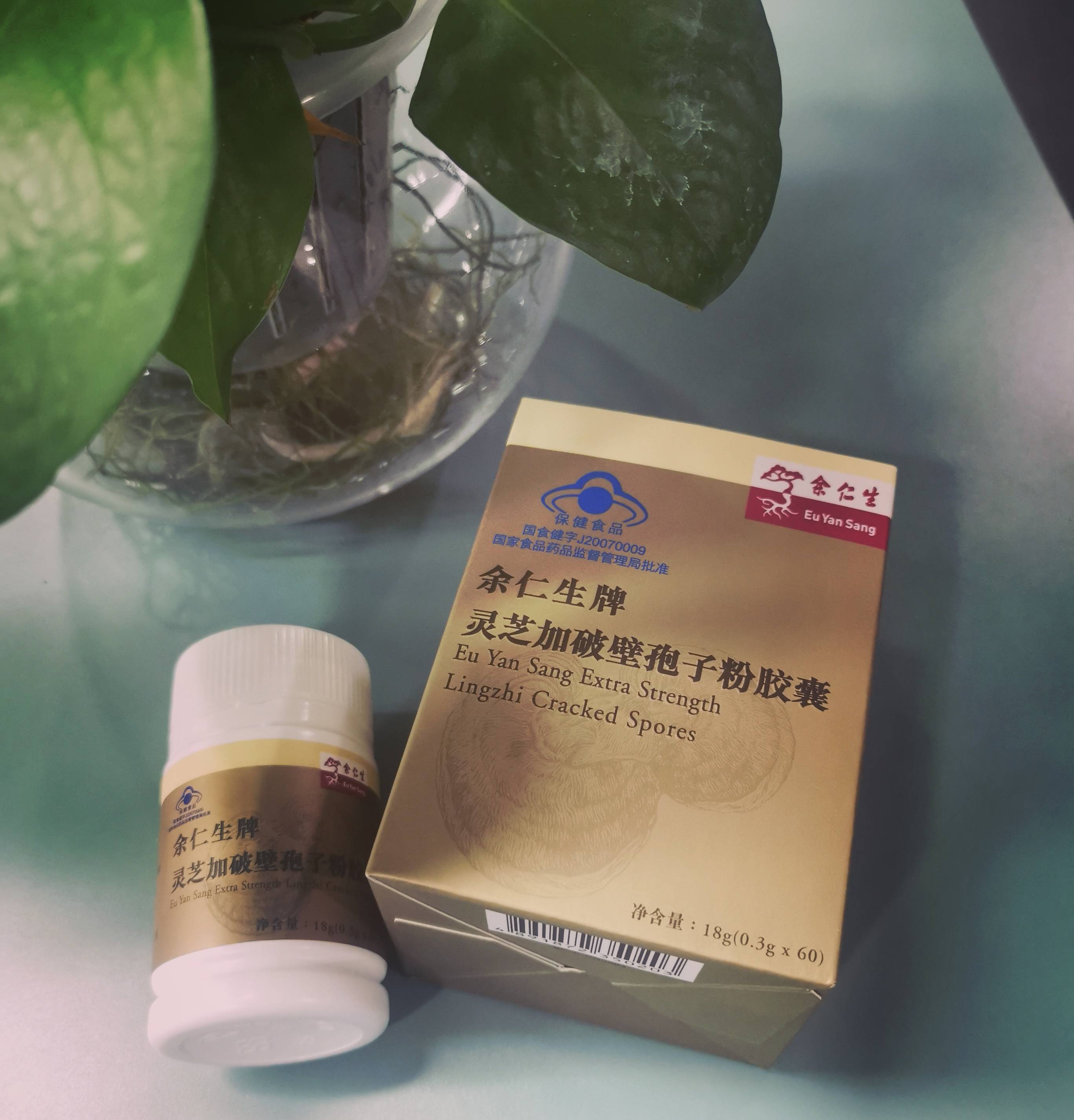 余仁生孢子粉大陆vs香港vs新加坡版本大测评
