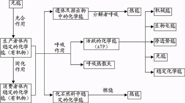 高中生物:知识结构图全汇总!一目了然