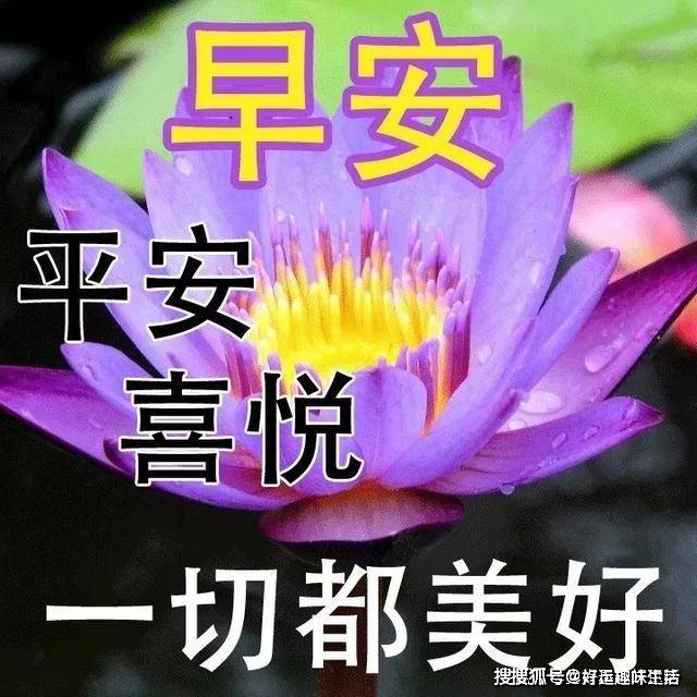 缘分就是,早一秒就会遇到,晚一秒就会走掉,今生有缘,祝福连绵,早安